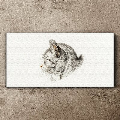 Portrait of a gray cat on a white background Canvas Wall art