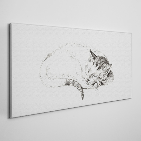 Sleeping cat Canvas Wall art