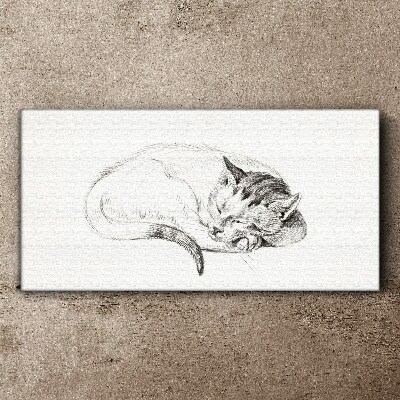 Sleeping cat Canvas Wall art