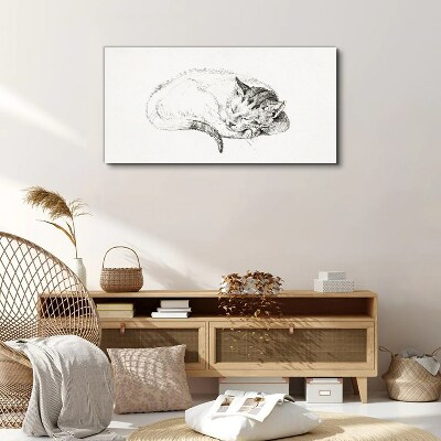 Sleeping cat Canvas Wall art