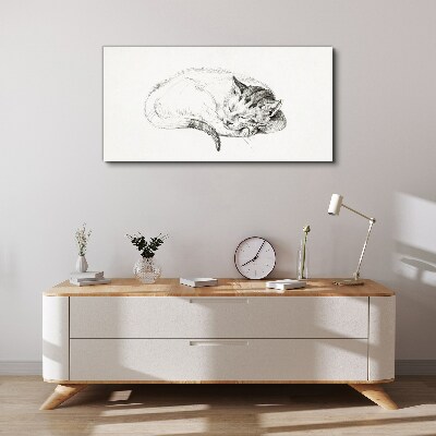 Sleeping cat Canvas Wall art