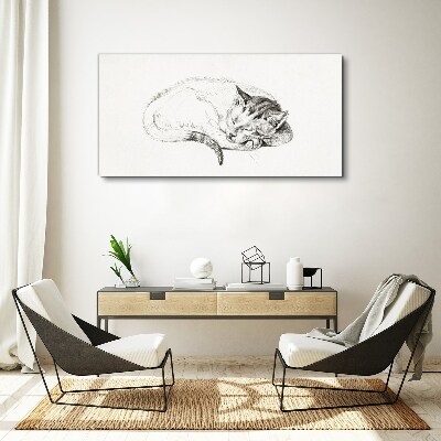 Sleeping cat Canvas Wall art