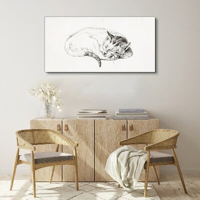 Sleeping cat Canvas Wall art