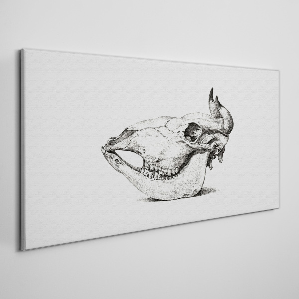 Animal skull Canvas Wall art