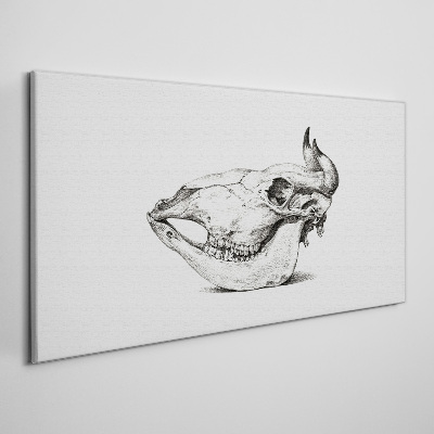 Animal skull Canvas Wall art