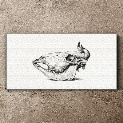 Animal skull Canvas Wall art