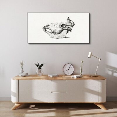 Animal skull Canvas Wall art