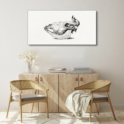 Animal skull Canvas Wall art