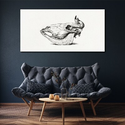 Animal skull Canvas Wall art