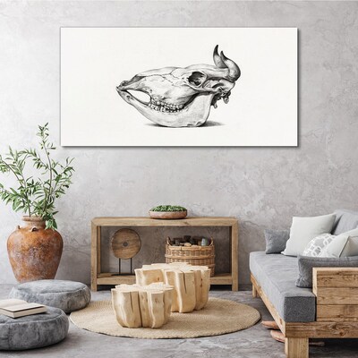 Animal skull Canvas Wall art