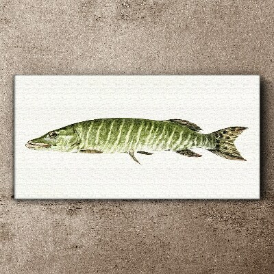 Muskie in its natural habitat Canvas Wall art