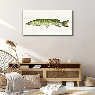 Muskie in its natural habitat Canvas Wall art