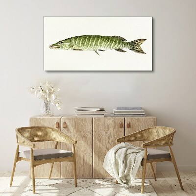 Muskie in its natural habitat Canvas Wall art