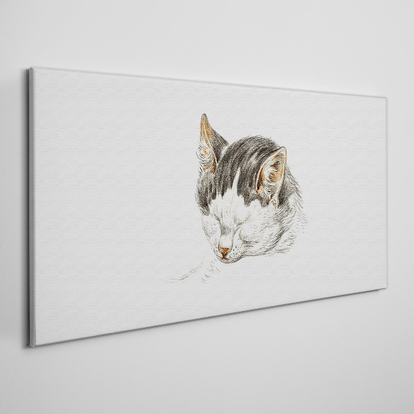 Cat's dream Canvas Wall art