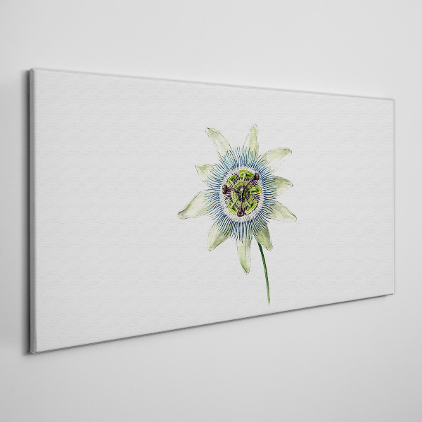 Passion flower on white background Canvas Wall art