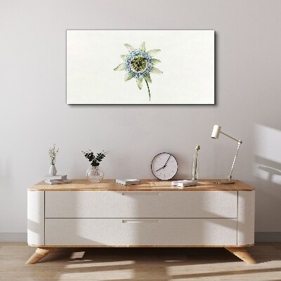 Passion flower on white background Canvas Wall art