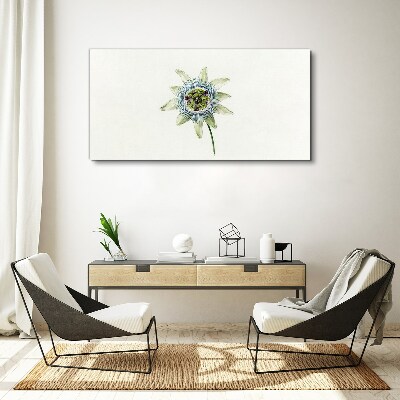 Passion flower on white background Canvas Wall art
