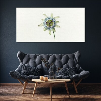 Passion flower on white background Canvas Wall art