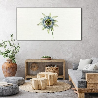 Passion flower on white background Canvas Wall art