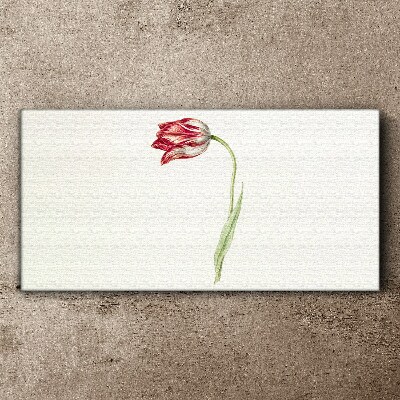 Tulip in delicate shades Canvas Wall art