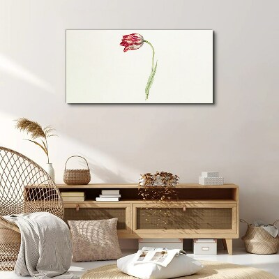 Tulip in delicate shades Canvas Wall art