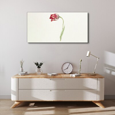 Tulip in delicate shades Canvas Wall art