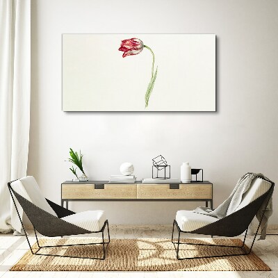 Tulip in delicate shades Canvas Wall art