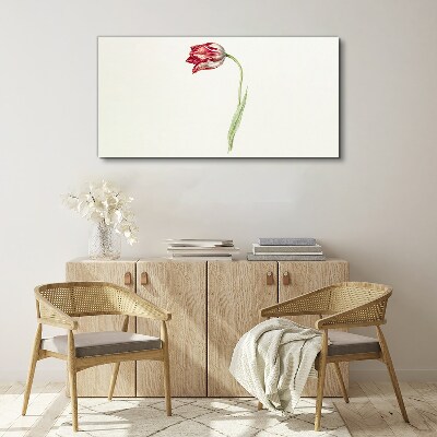 Tulip in delicate shades Canvas Wall art