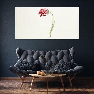 Tulip in delicate shades Canvas Wall art