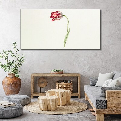 Tulip in delicate shades Canvas Wall art