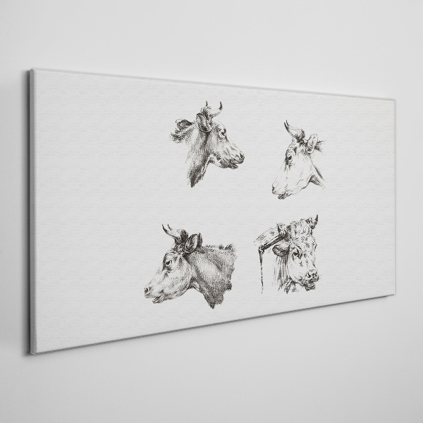 Black and white portrait of cattle Canvas Wall art