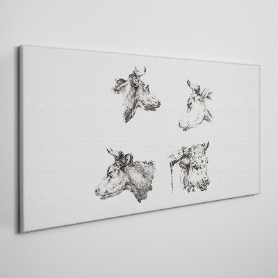 Black and white portrait of cattle Canvas Wall art