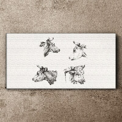 Black and white portrait of cattle Canvas Wall art