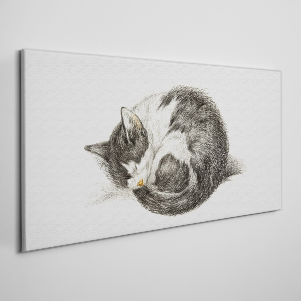 Cat's dream in monochromatic shades Canvas Wall art