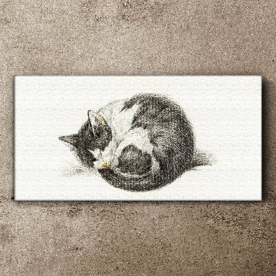 Cat's dream in monochromatic shades Canvas Wall art