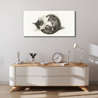 Cat's dream in monochromatic shades Canvas Wall art
