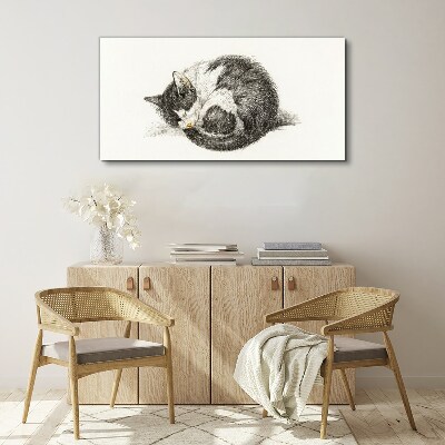 Cat's dream in monochromatic shades Canvas Wall art