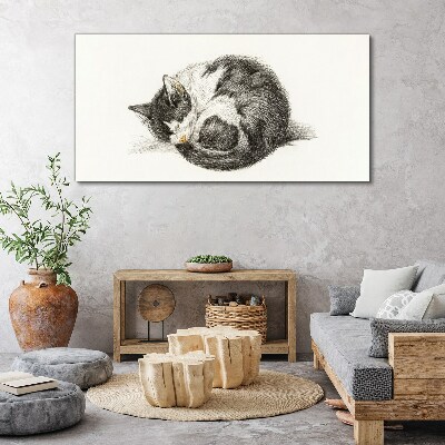 Cat's dream in monochromatic shades Canvas Wall art