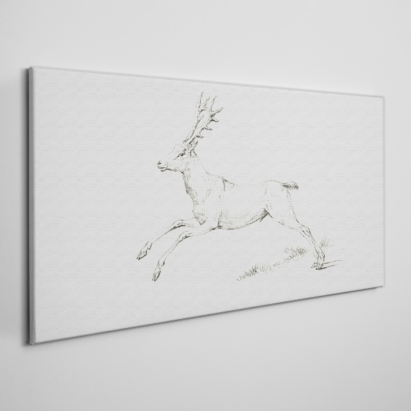 Jumping deer on white background Canvas Wall art