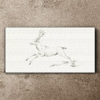 Drawing animal deer Canvas Wall art