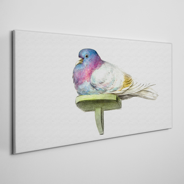 Colorful dove in pastel shades Canvas Wall art
