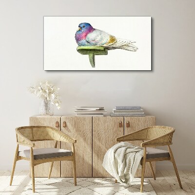 Animal bird dove Canvas Wall art