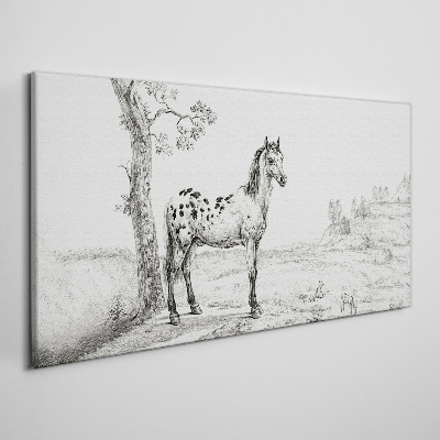 Drawing animals horse Canvas Wall art