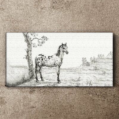 Horses in the landscape Canvas Wall art