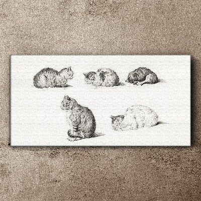Drawing animals cats Canvas Wall art