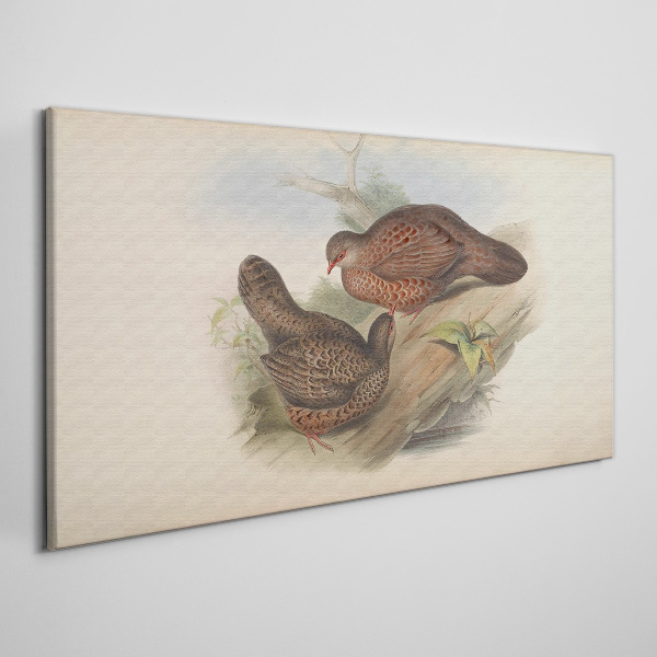Animals birds beige Canvas print
