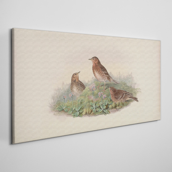 Birds on a background of flowers Canvas print