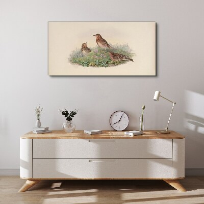 Animals birds beige Canvas print