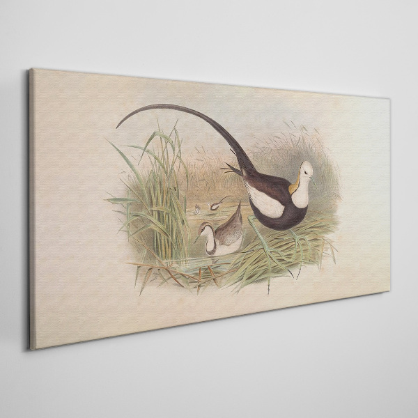 Birds in the grass Canvas print