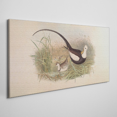 Birds in the grass Canvas print
